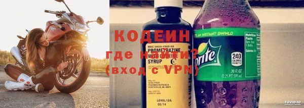 индика Краснотурьинск