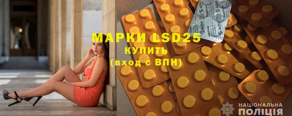 индика Краснотурьинск