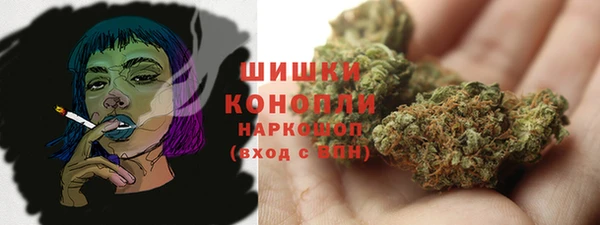 крисы Краснослободск