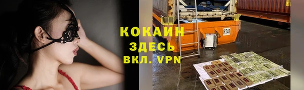 крисы Краснослободск