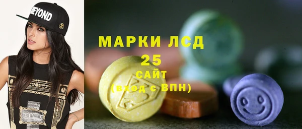 индика Краснотурьинск