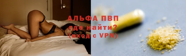 индика Краснотурьинск