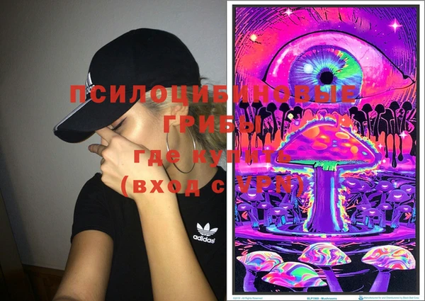 PSILOCYBIN Красноперекопск