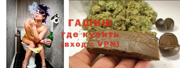 индика Краснотурьинск